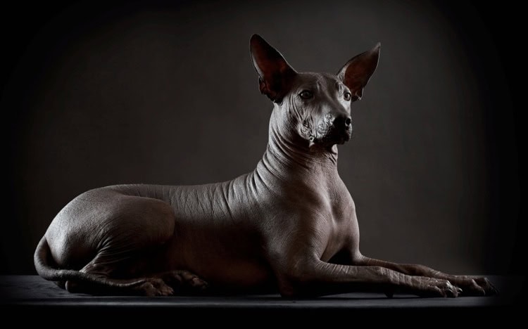 imagen-cuerpo imagen-cuerpo