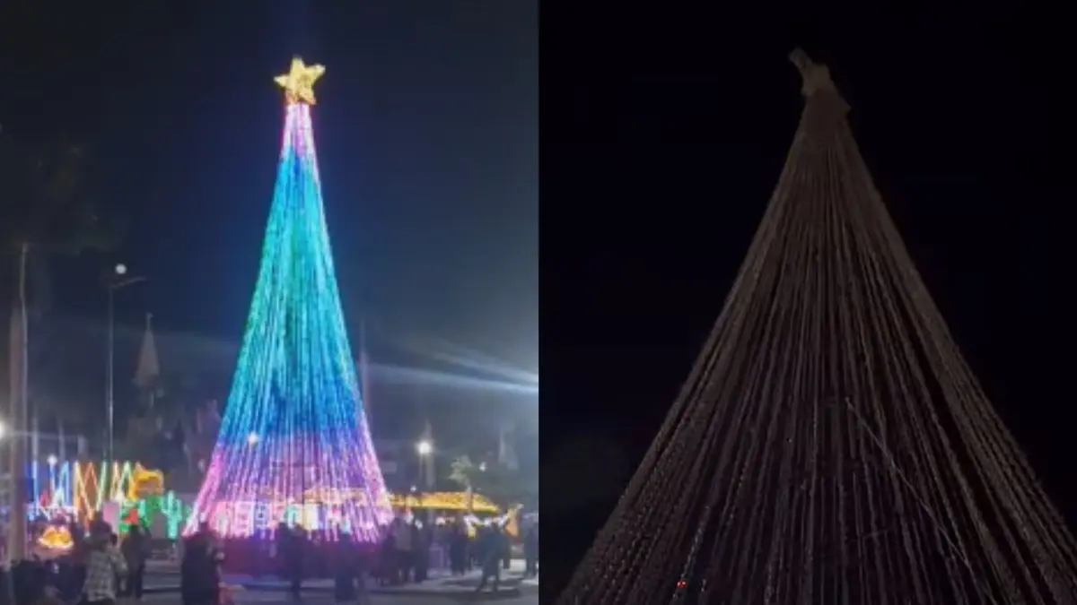 Robo de cableado deja sin luces al Árbol Navideño de la Plaza Álvaro Obregón