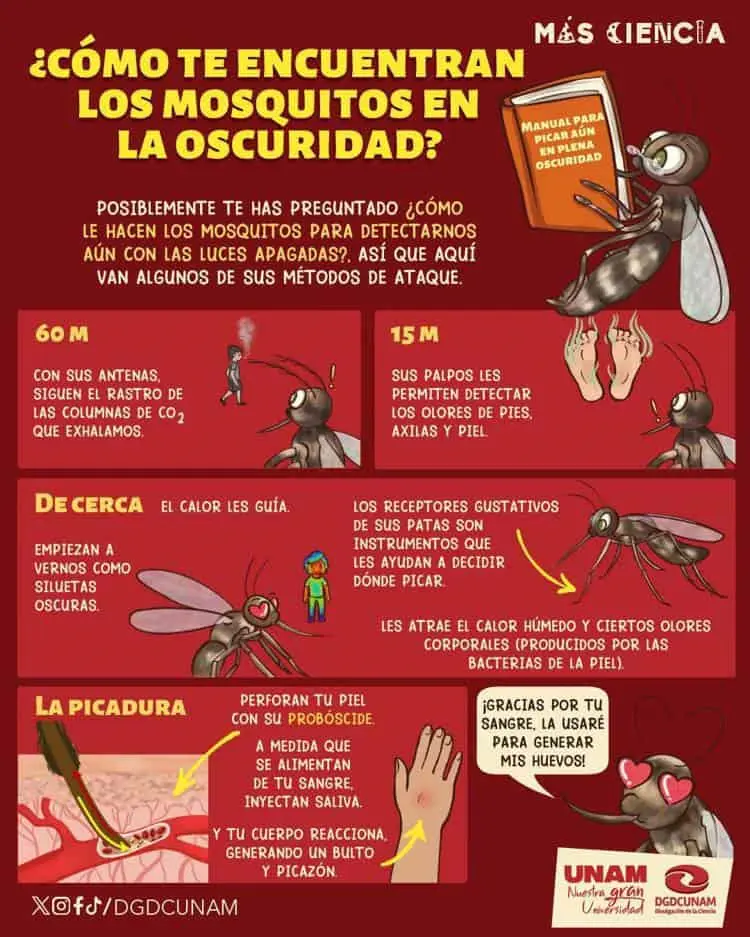 imagen-cuerpo