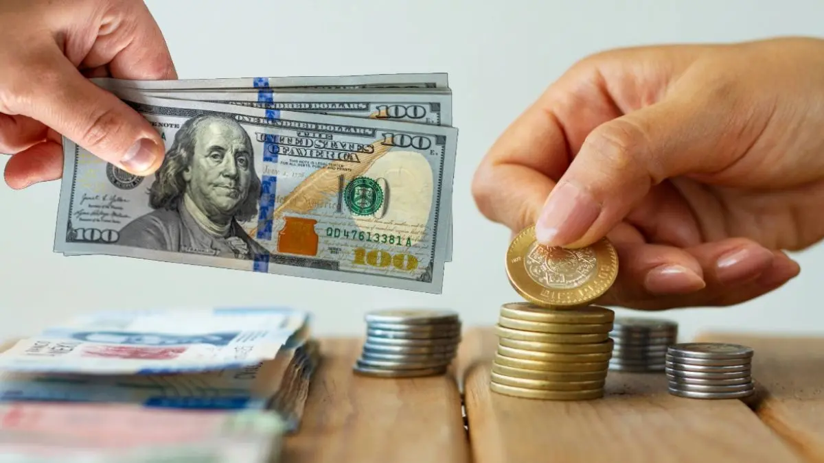 Cotización del dólar en pesos mexicanos este domingo 25 de enero de 2026