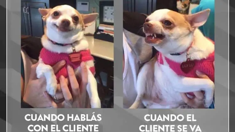 imagen-cuerpo imagen-cuerpo