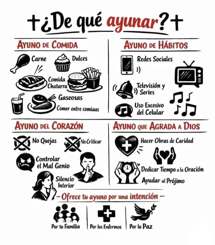 imagen-cuerpo