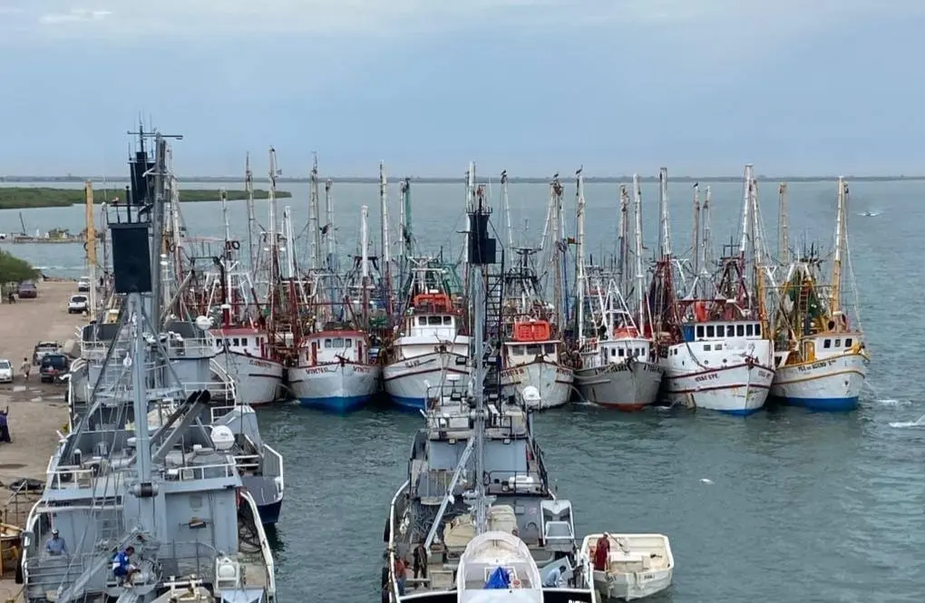 Empresas sardineras y pescadores del sur de Sonora buscan soluciones