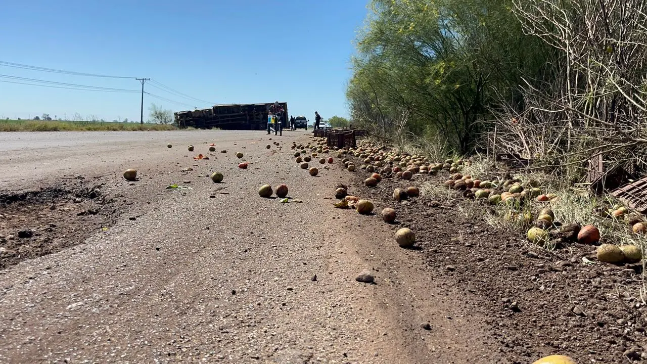 Vuelca tráiler cargado de tomate en el Valle del Yaqui