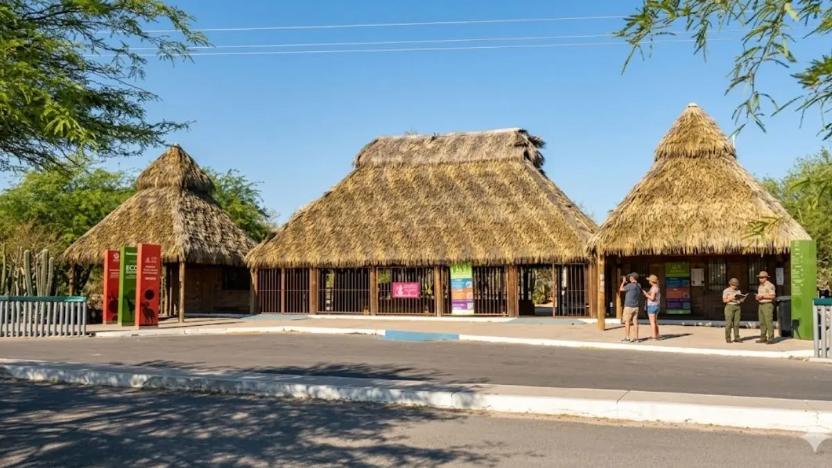 El Ecosafari del Centro Ecológico de Sonora permanecerá cerrado temporalmente mientras una nueva jirafa se adapta a su entorno.