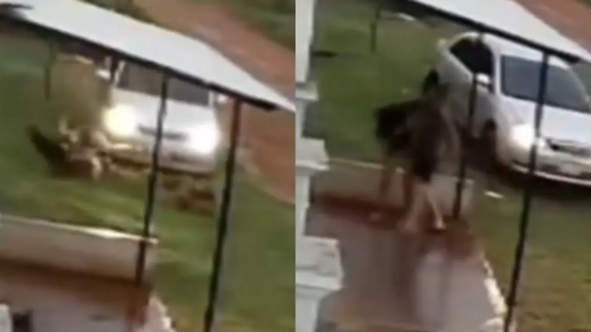 VIDEO | Hombre atropella y golpea a su pareja con intenciones asesinas