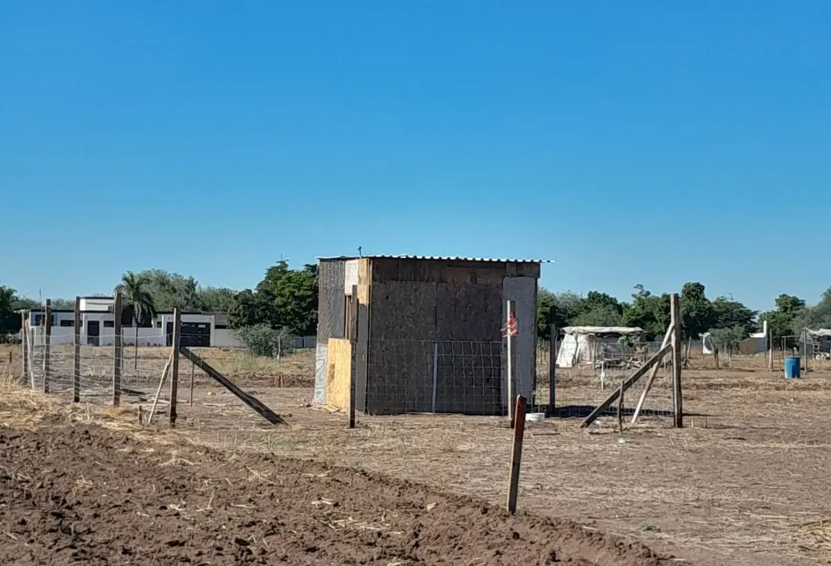 Podrían vecinos de MRG aceptar Viviendas del Bienestar