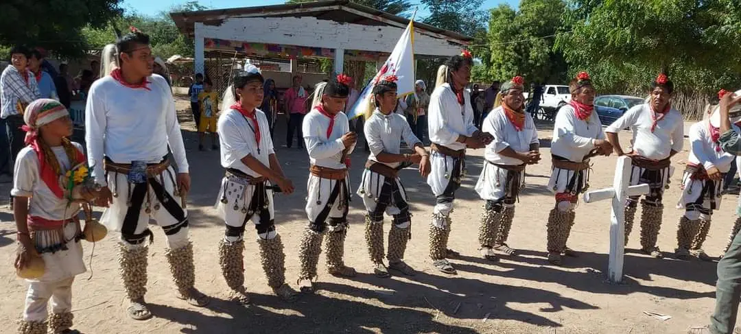 Instalarán 11 Casas de Lengua Indígena en el sur de Sonora