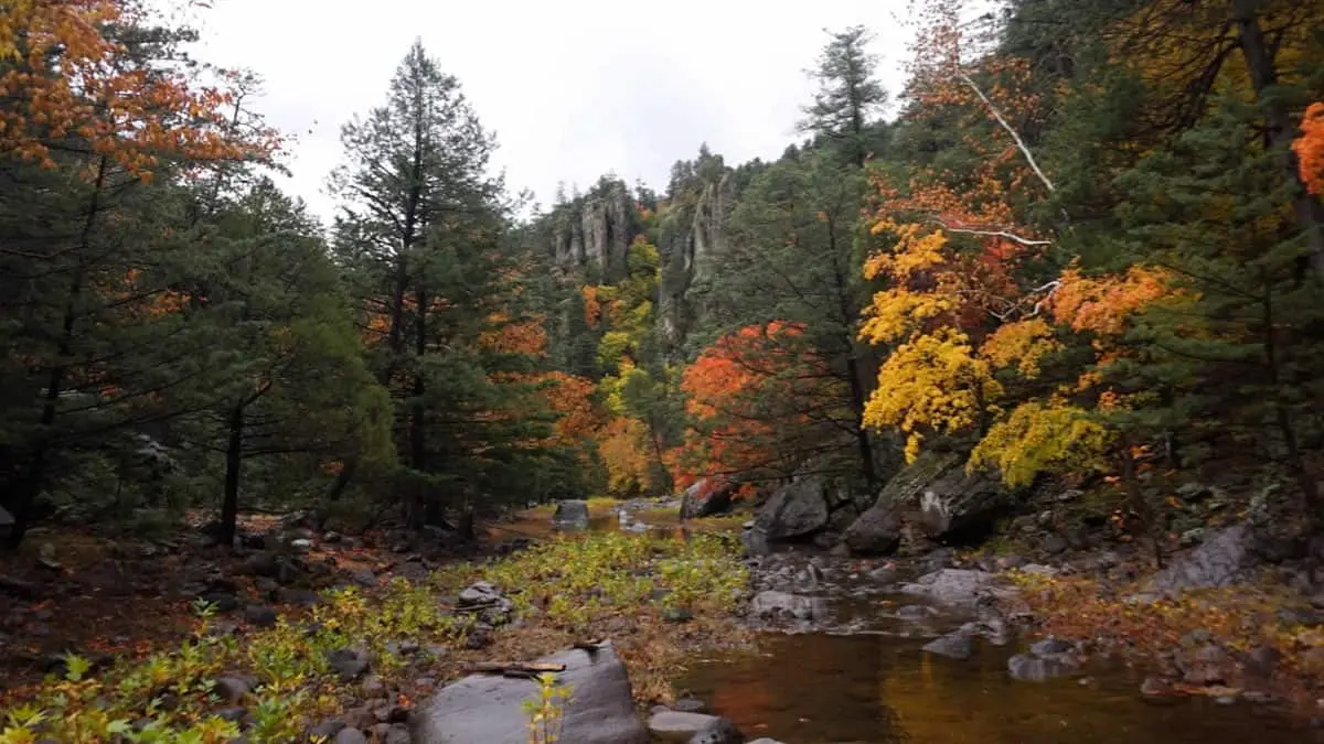 En la Sierra Alta de Sonora, la Ruta del Maple es ellugar ideal para disfrutar de la aventura y paisajes de ensueño. Foto: Sonora Querida/Facebook.