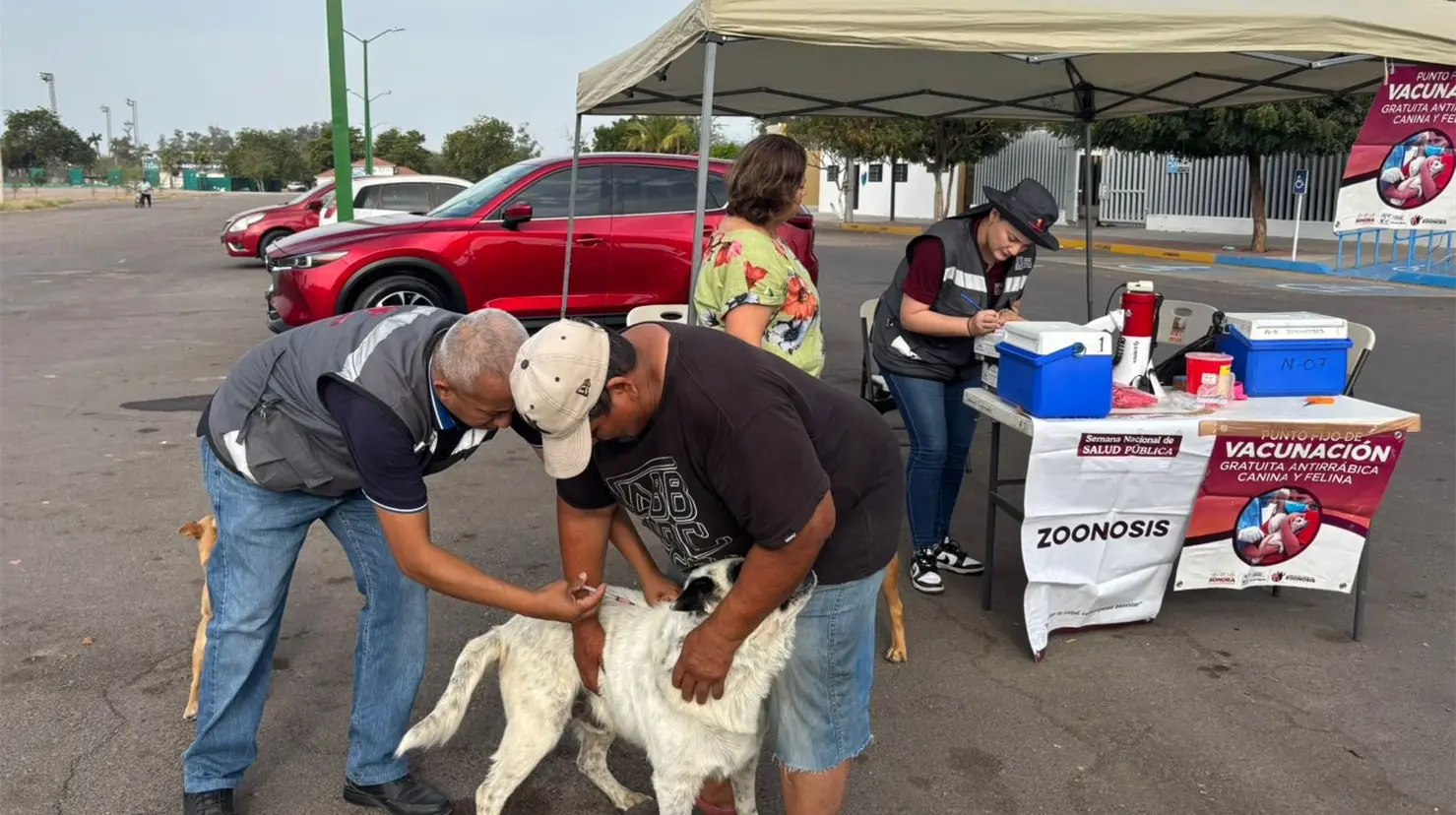 Vacunan contra la rabia a mascotas en Cajeme
