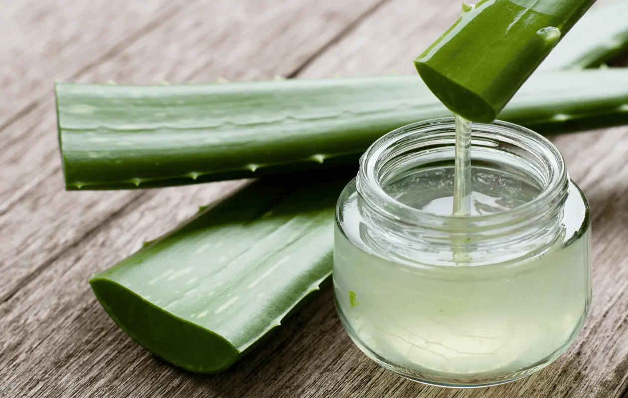 ¿Has utilizado el aloe vera como parte de algún tratamiento?