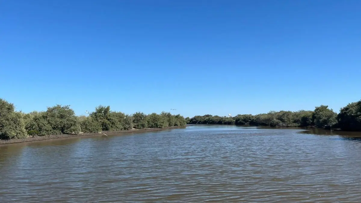 Cielos despejados y ambiente cálido dominarán este jueves en Sonora, con rachas de viento fuertes en el norte del estado.