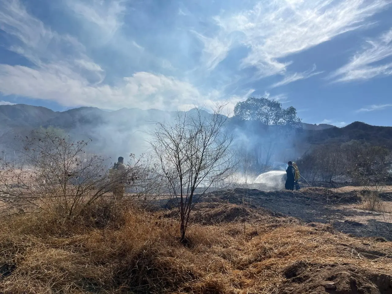 Álamos reporta incidencia baja de incendios forestales