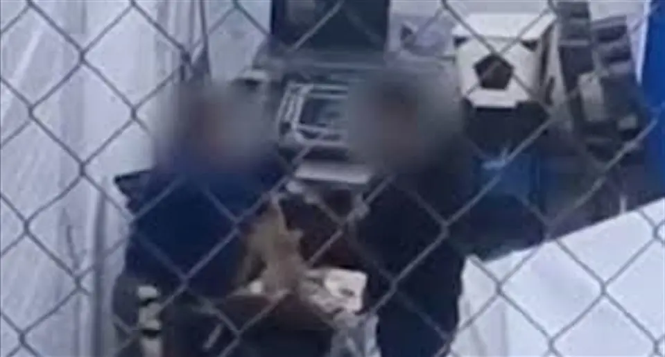 Detienen a veterinaria por maltrato animal en Nogales