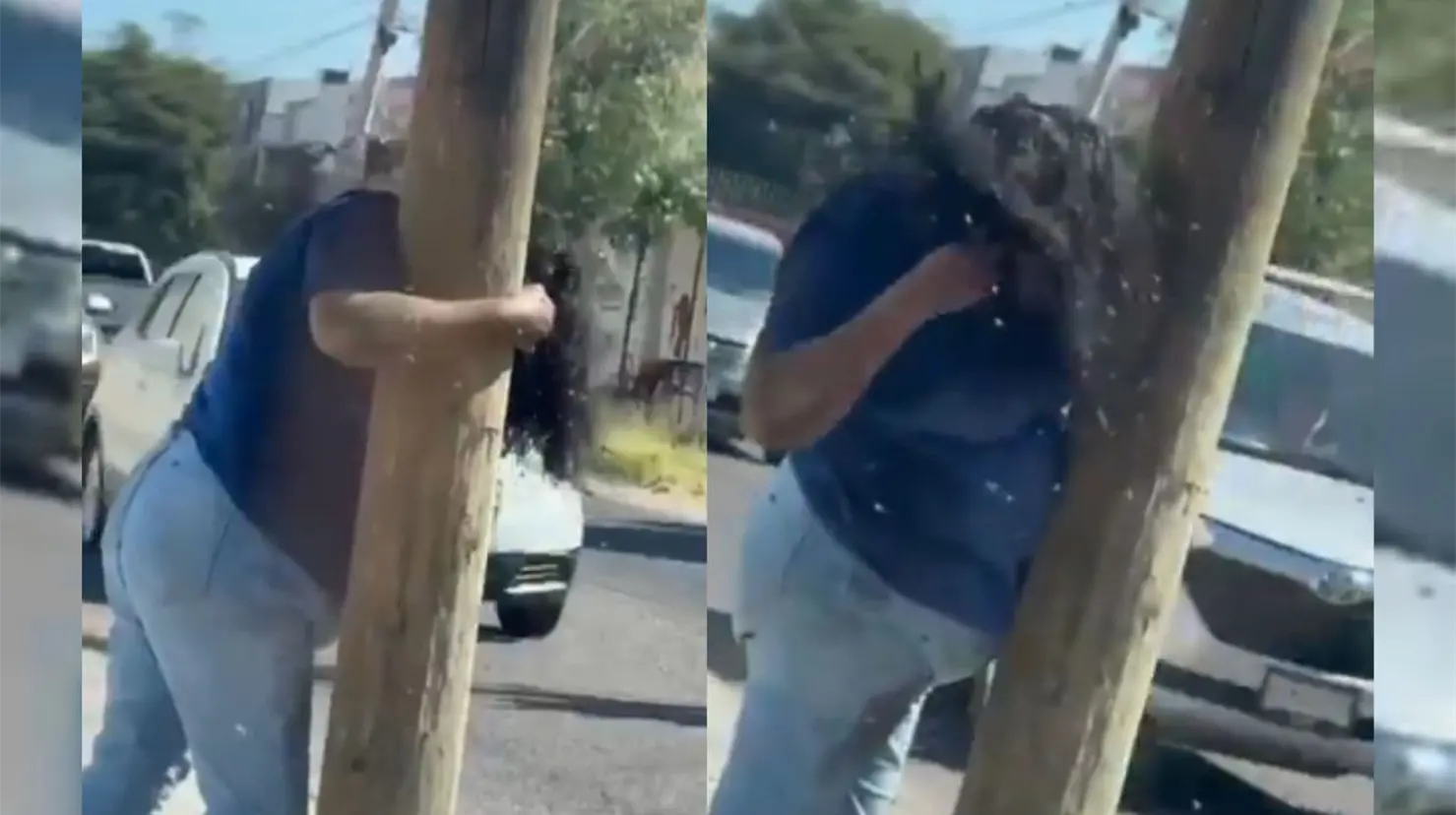 Las primeras versiones apuntan a que los insectos se encontraban dentro de una caja presuntamente abandonada por apicultores en la misma zona