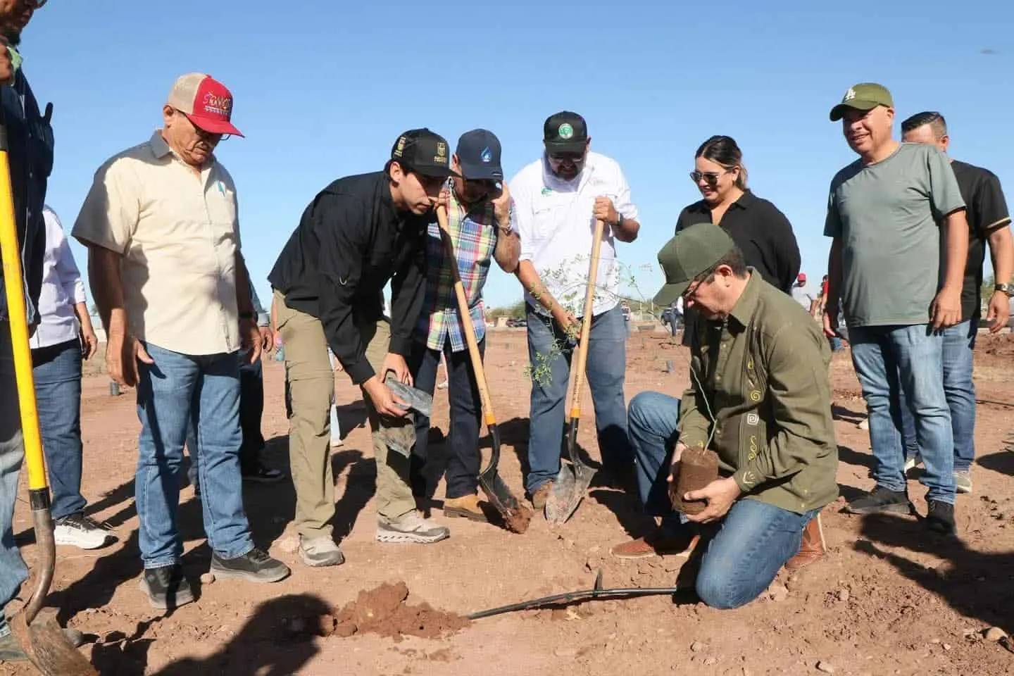 Avanza reforestación en Unidad Deportiva