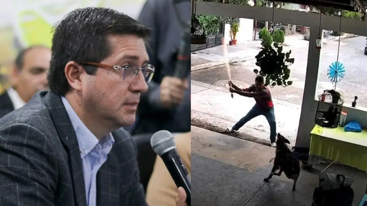 El caso de “Toto” generó indignación social y motivó al Ayuntamiento de Navojoa a anunciar acciones legales y nuevas políticas de bienestar animal.