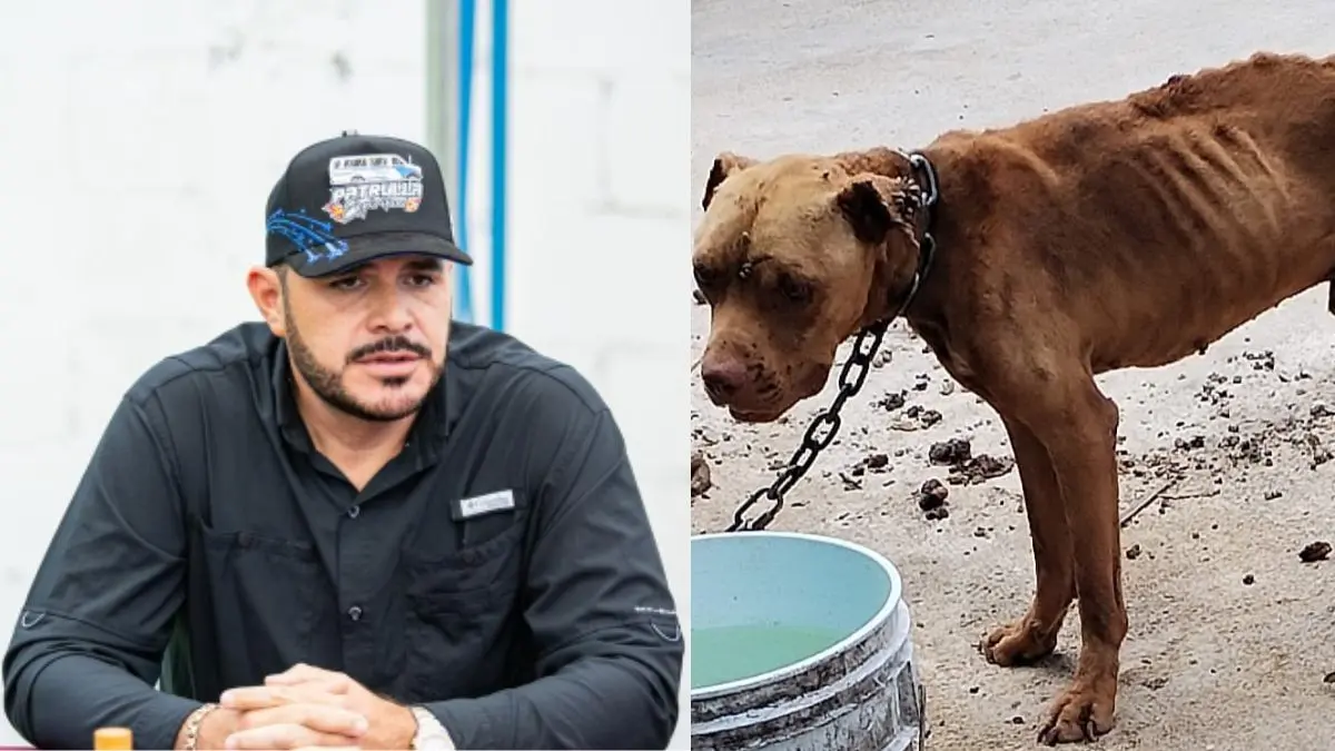El Chiquilín genera conversación en redes tras presentar una nueva propuesta que contempla la participación de perros en las actividades de su agrupación.