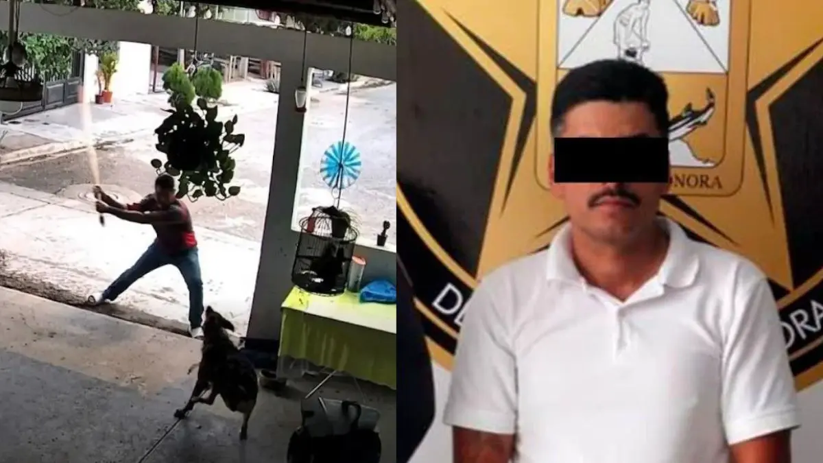 David Adrián “N” fue detenido por su presunta responsabilidad en la agresión contra “Toto”; podría enfrentar varios años de prisión si es declarado culpable.