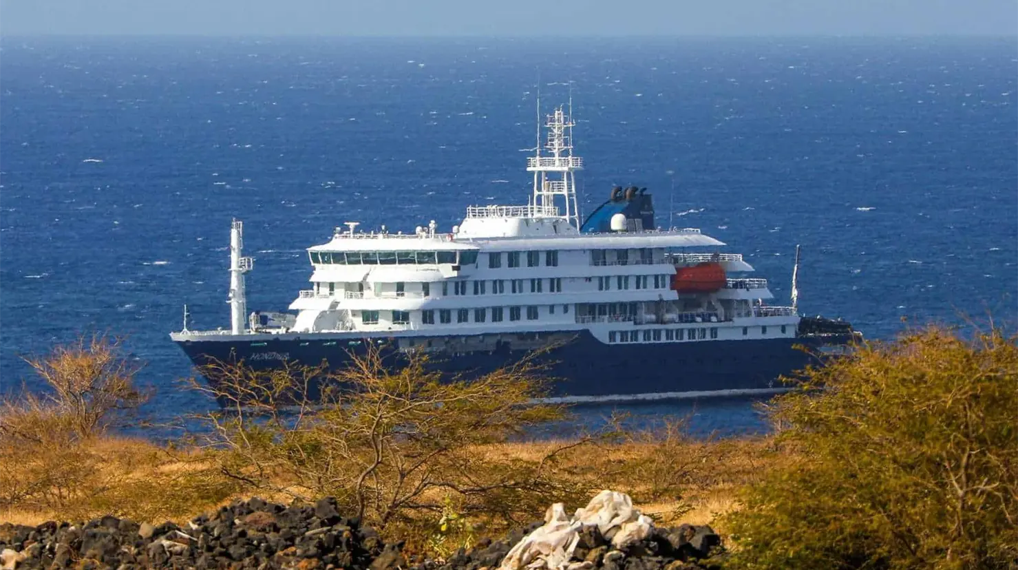 OMS alerta por posibles nuevos contagios de hantavirus fuera de crucero donde inició el brote