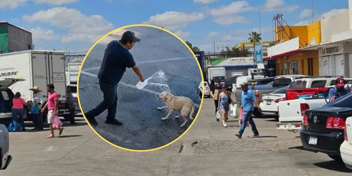 La captura del imputado se llevó a cabo en el cruce de las calles Guerrero y Constitución, en la colonia Benito Juárez.