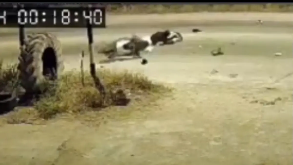 VIDEO | Motociclista pierde una pierna tras brutal choque contra automóvil a alta velocidad