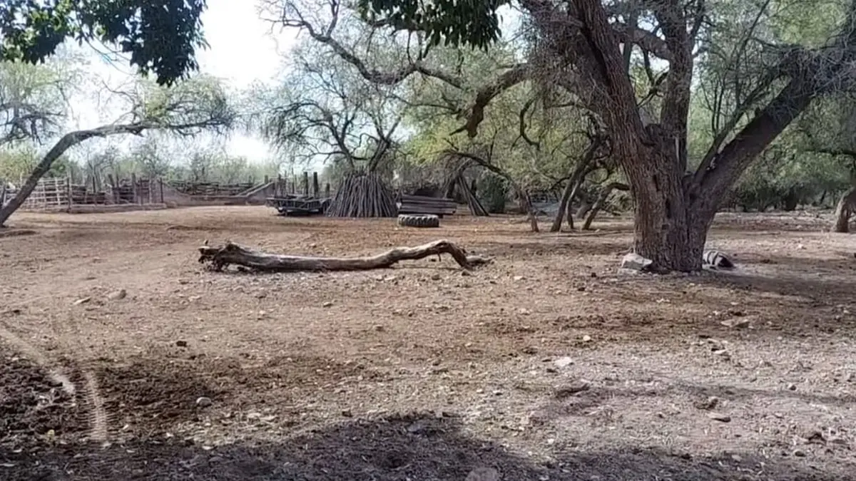 Ambiente caluroso y fuertes rachas de viento continuarán esta semana en distintos municipios de Sonora.