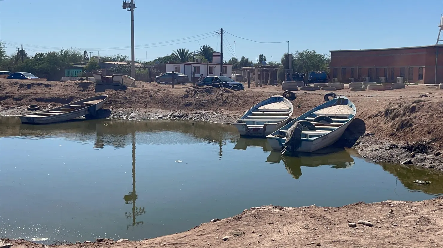 Buscan cuidar a fauna acuática en SIRM