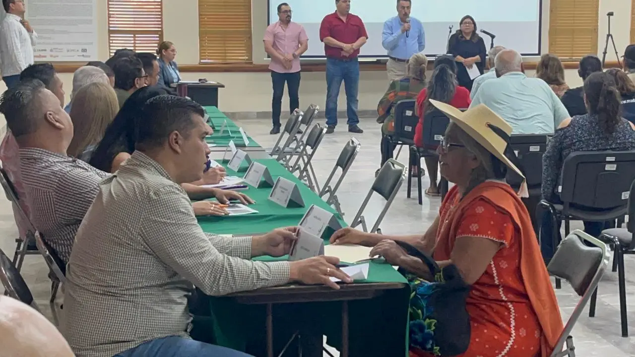 Pide reforestación por “ecocidio” en Cajeme