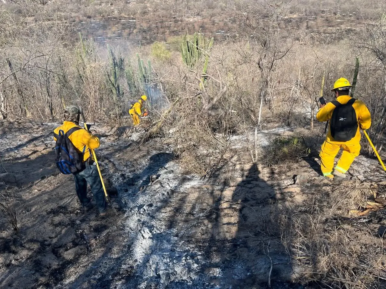 Siguen incendios forestales en Álamos