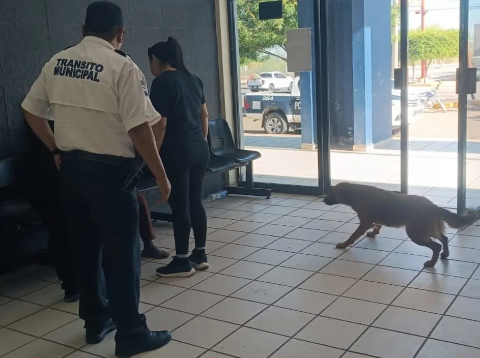 Seguridad Pública llama a fortalecer cultura de la denuncia en Navojoa