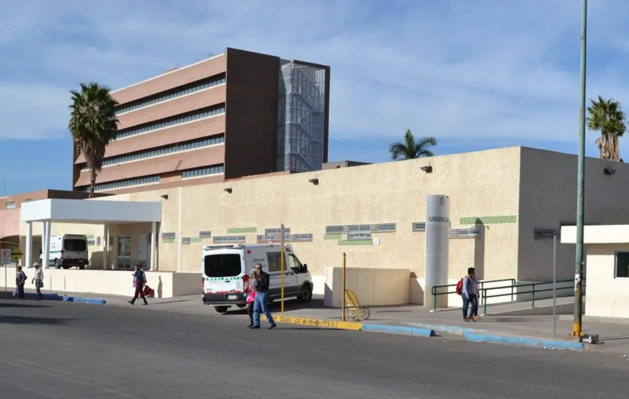 El IMSS mantiene un programa permanente de control integral de fauna nociva y plagas.