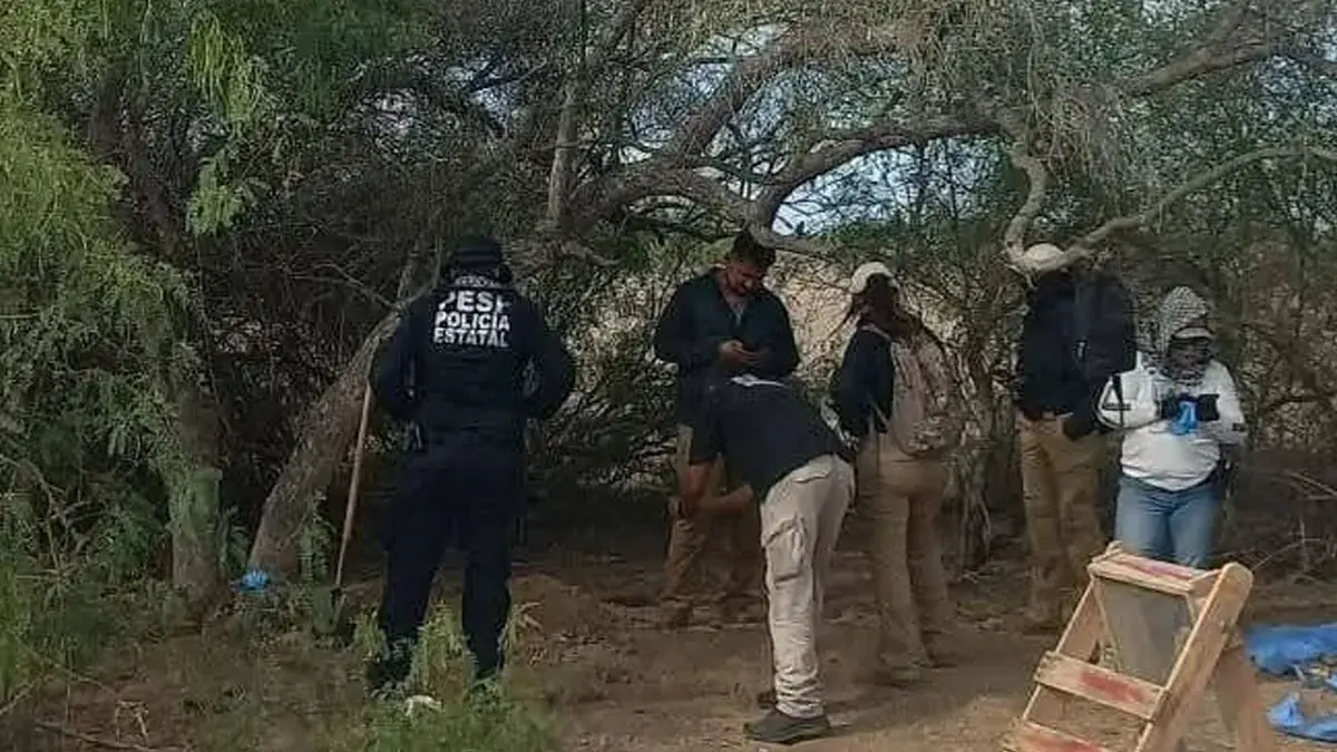 Colectivo de búsqueda localiza restos humanos en fosa clandestina de Empalme