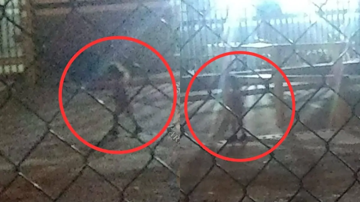 Captan a presunto fantasma en fábrica de Ciudad Obregón