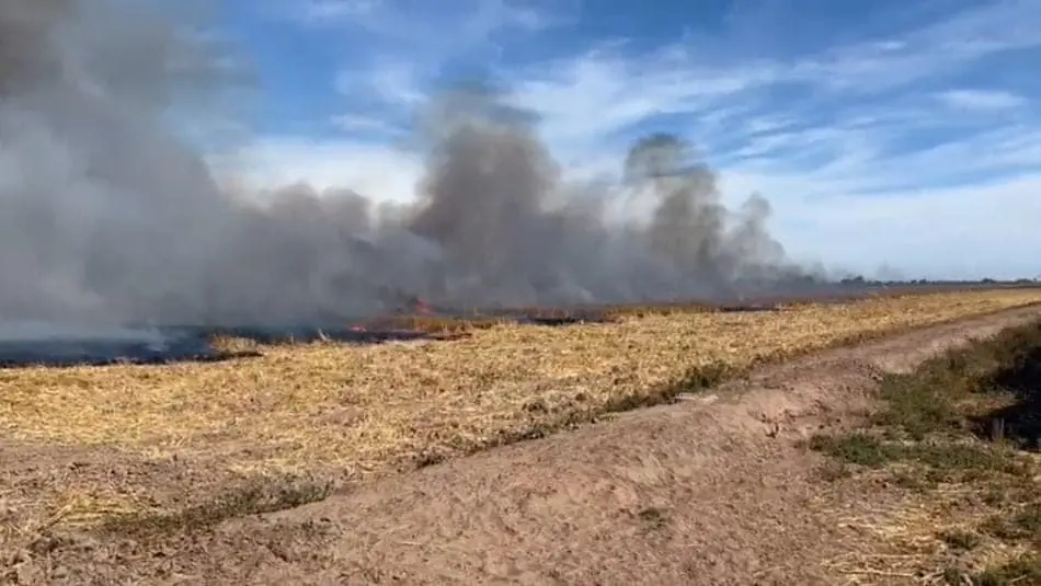 Queman gavilla en el sur de Sonora