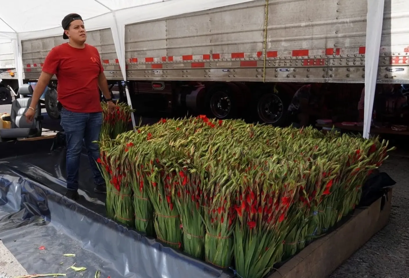 Habrá flores el Día del Padre en el Mercadito