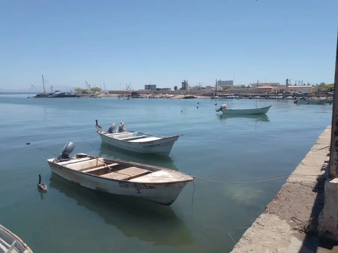 Se agrava la crisis pesquera en el sur de Sonora