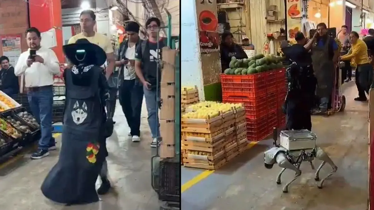 “¿Apoco sí muy acá?”: robot conquista la Central de Abasto con frases mexicanas y se vuelve viral | VIDEO