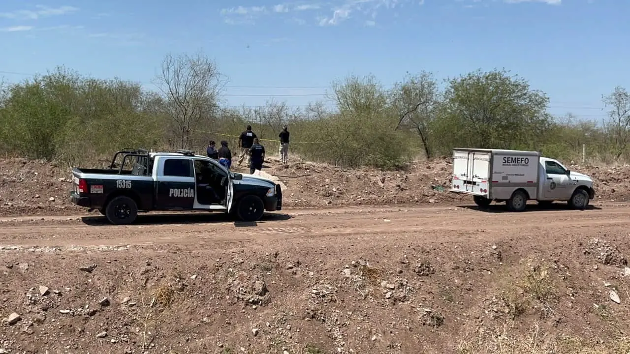 Localizan osamenta al norte de Ciudad Obregón