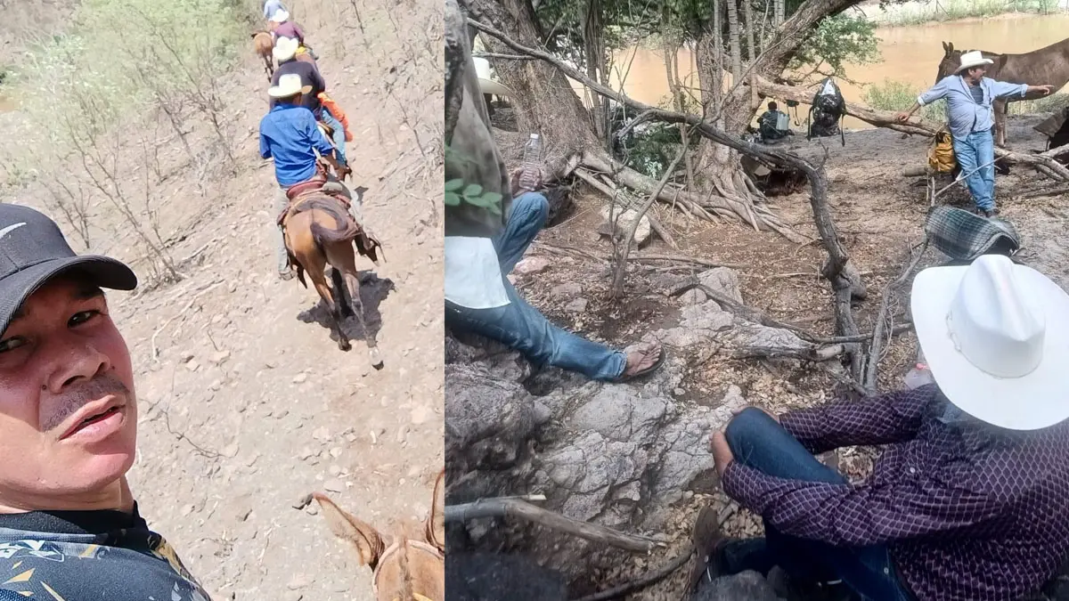 Rescatan a activistas atrapados en la Sierra de Álamos