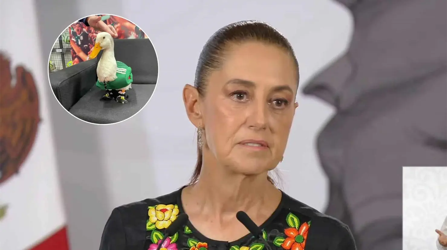 ¿Merlín en Palacio Nacional? Sheinbaum abre las puertas al pato viral del Mundial