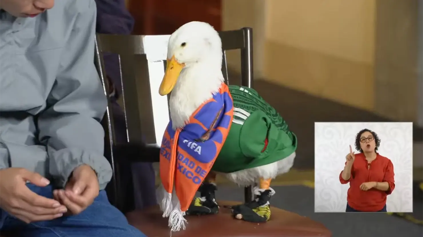 El Gobierno Federal buscará apoyar a la familia para que la notoriedad alcanzada por el pato se traduzca en mejores condiciones de vida
