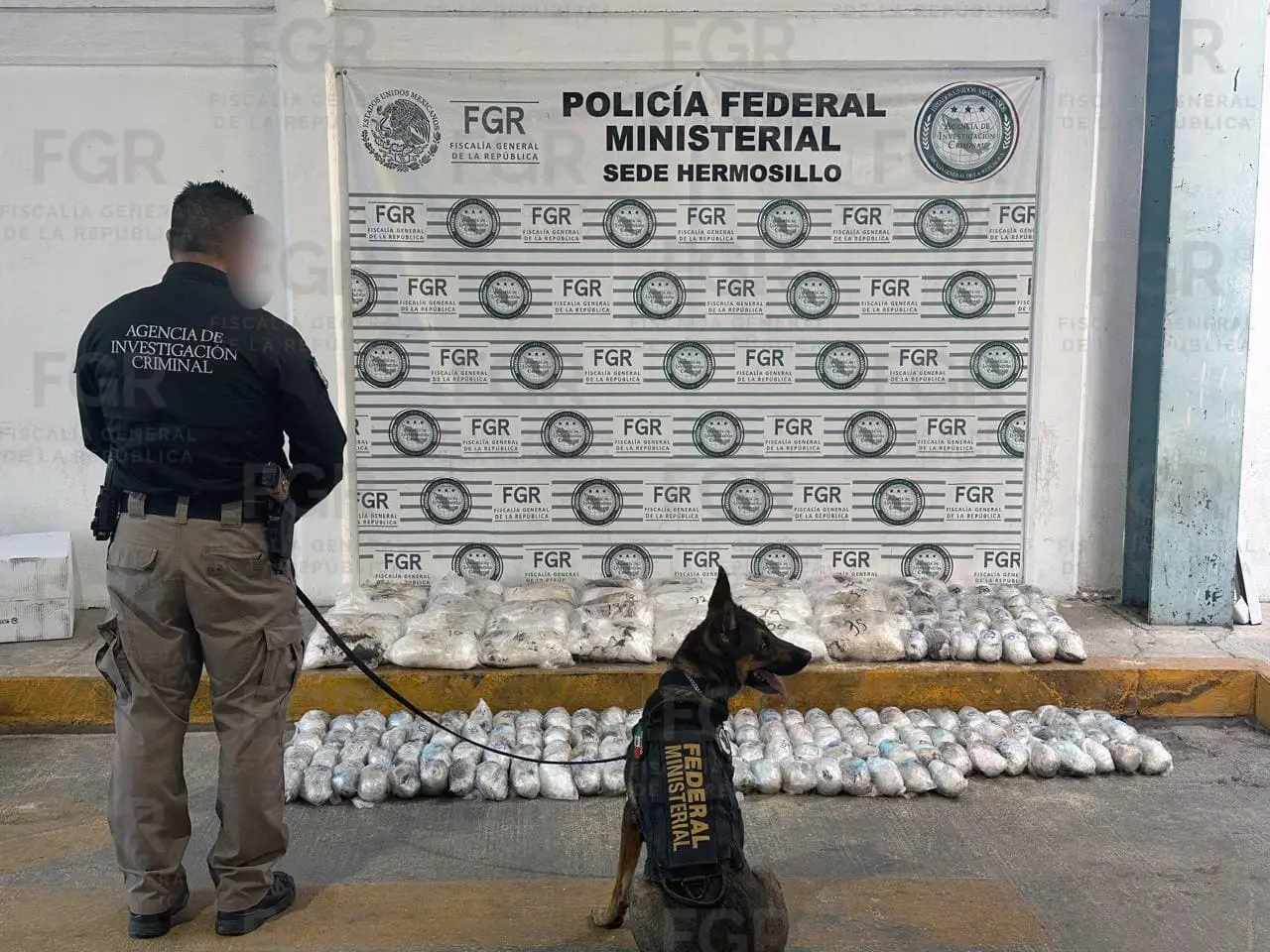Aseguran más de 100 kilos de droga en paquetería en Hermosillo