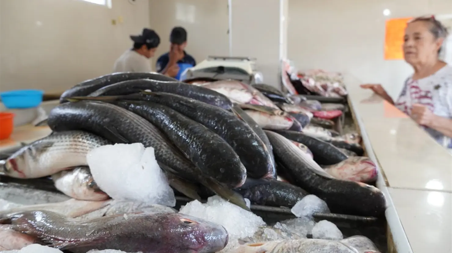 Repunte moderado en pescados y mariscos