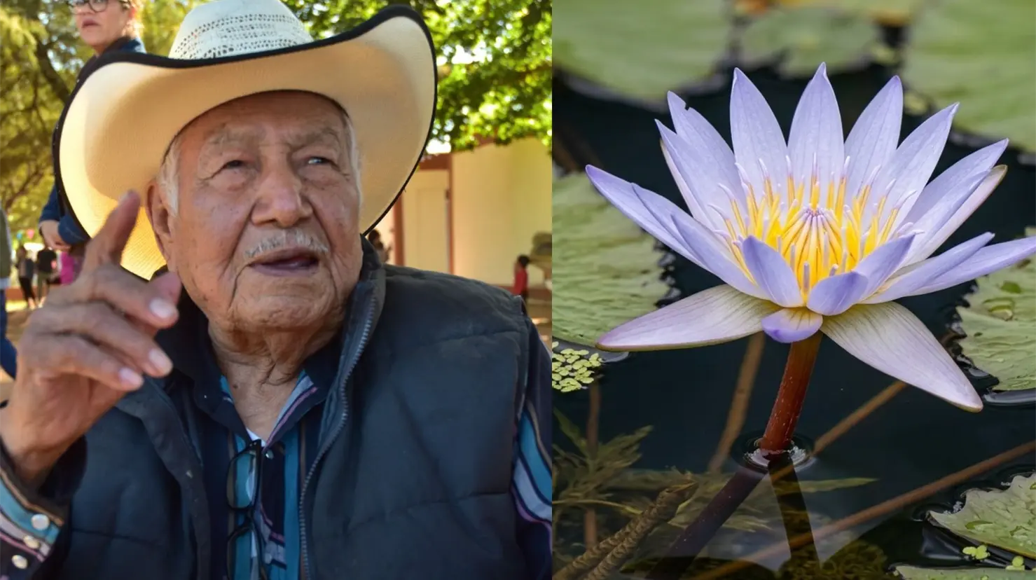 Fallece José Molina Palma, creador de Flor de Capomo