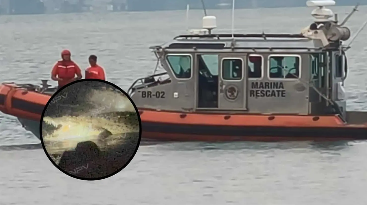 La mañana de este sábado 27 de junio, lograron recuperar el cuerpo del turista y la captura del cocodrilo presuntamente involucrado en el ataque