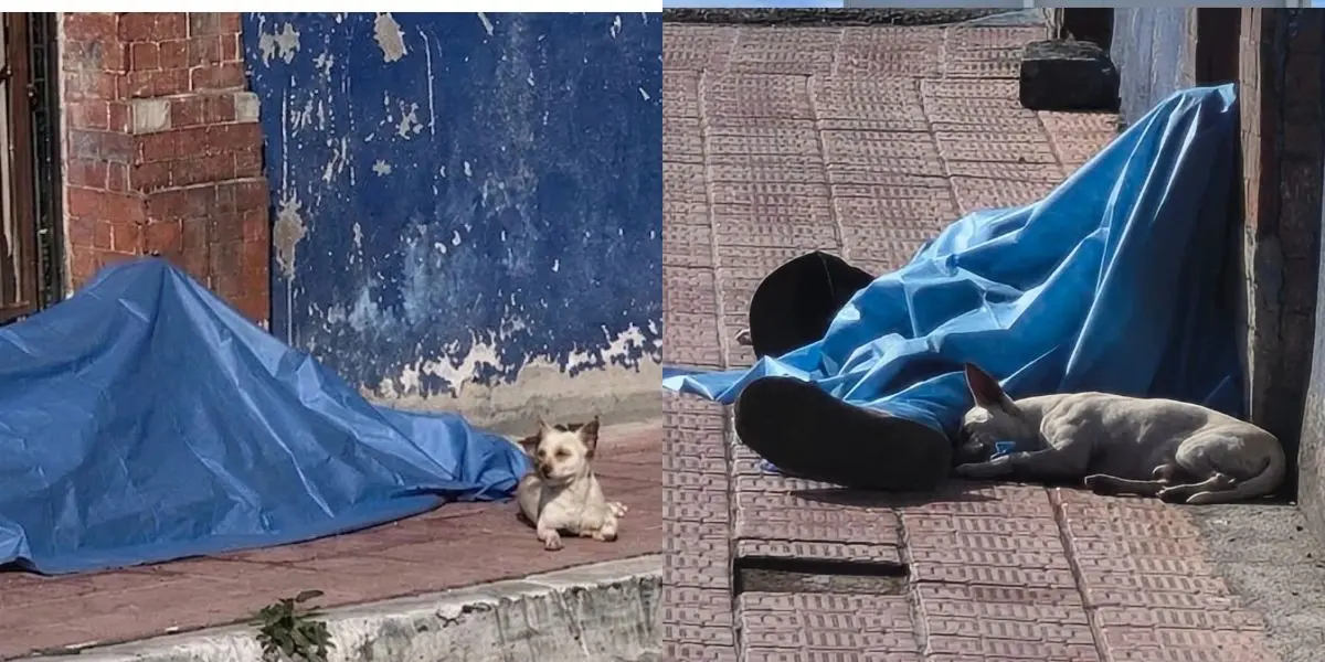 Vecinos de la Zona Centro de Saltillo señalaron que el adulto mayor era conocido como Jaimito y que desde hace meses recorría las calles acompañado de un perro que no se separó de él tras su fallecimiento.