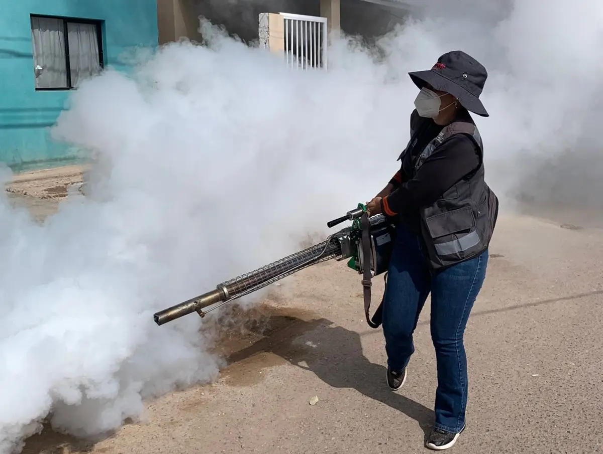 Suman 20 nuevos casos de dengue en Sonora