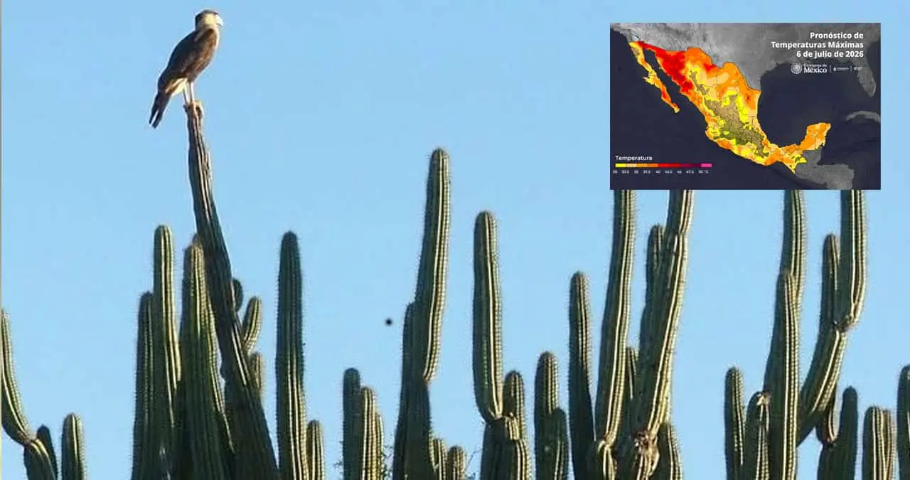 El calor seguirá azotando a Sonora, con temperaturas de 46 grados Celsius.