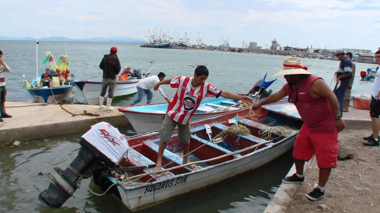 Logran buenas capturas de jaiba en el sur de Sonora